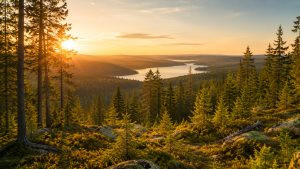 Långsiktig utveckling